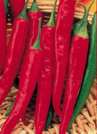 Cayenne Pepper