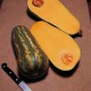 Pumpkin "Marbled Butternut"
