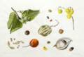Deciduous trees and shrubs