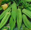 Okra