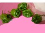 Papryka Habanero